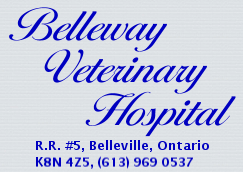 Belleway Clinic Logo