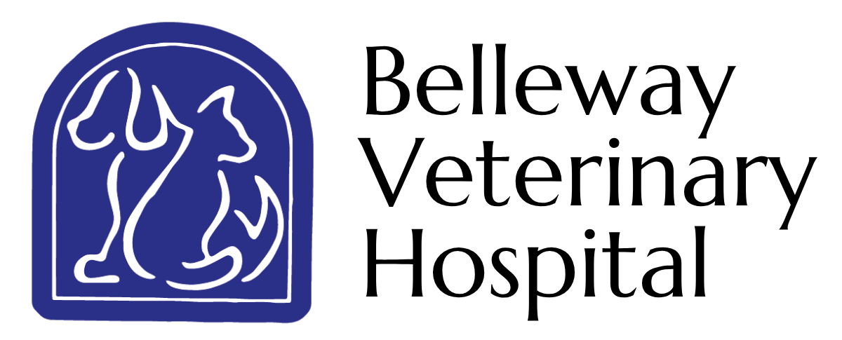 Belleway Veterinary Hospital Logo-black text-transparent