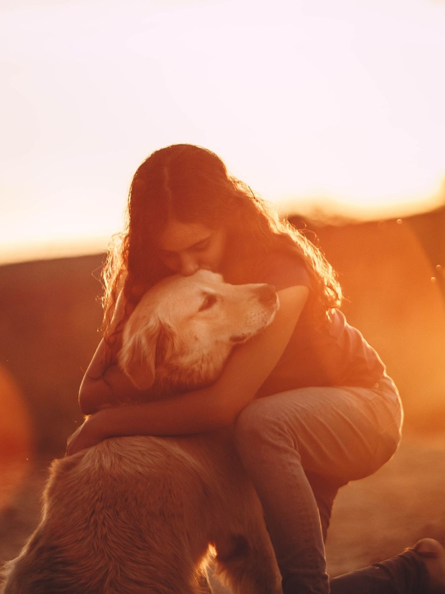 A person hugging their dog at sunset A person hugging their dog at sunset