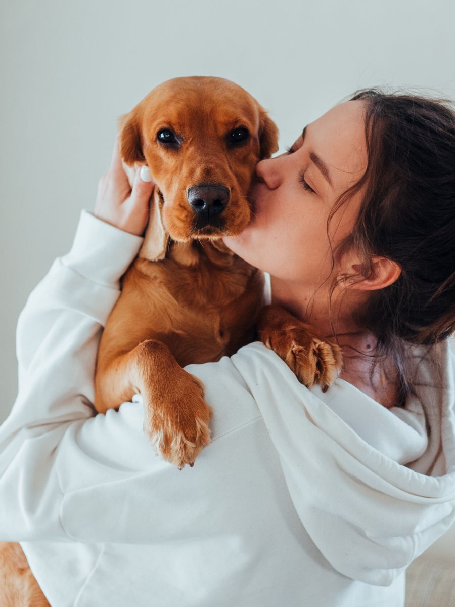A person is kissing their dog while sitting on a couch A person is kissing their dog while sitting on a couch
