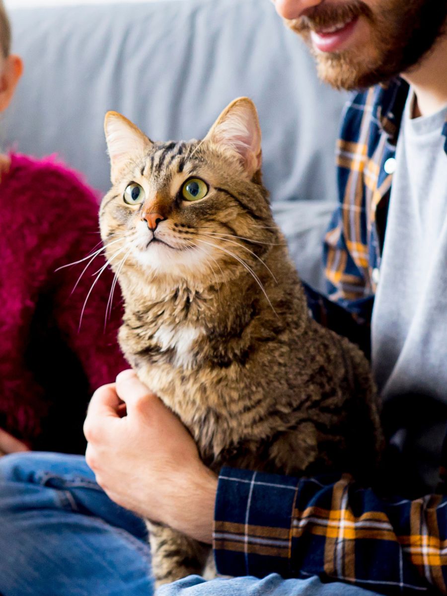 a person and person sitting on the floor with a cat